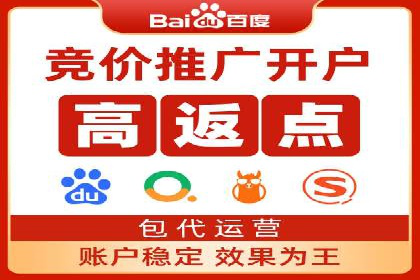 百度竞价代运营成功案例解析